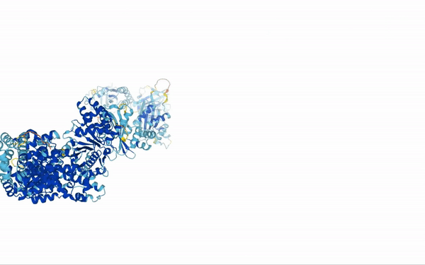 An animation of a protein modeled by AlphaFold 2. 